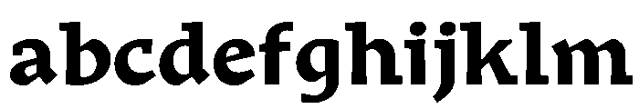 Traktor Bold Instance FONT