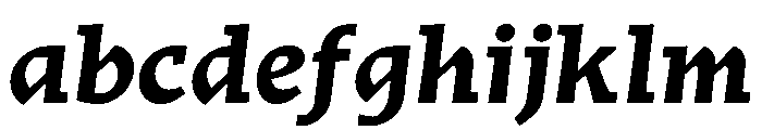 Traktor BoldItalic Instance FONT