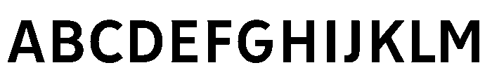 Tranemo Bold Instance Font UPPERCASE