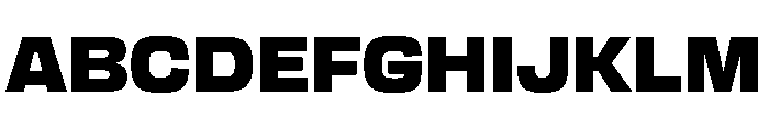Transducer Black Font UPPERCASE