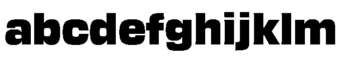 Transducer Black FONT