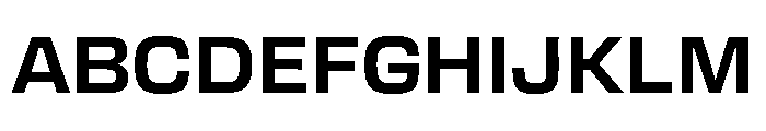 Transducer Bold Font UPPERCASE