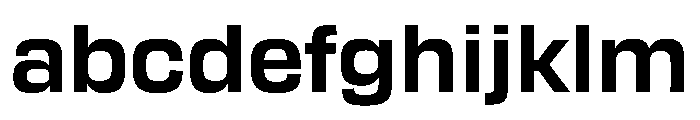 Transducer Bold FONT