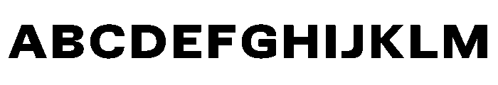 TrueSans BlackExtended Font UPPERCASE