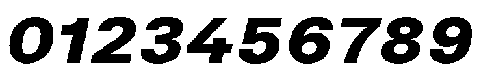 TrueSans BlackExtendedItalic Font OTHER CHARS