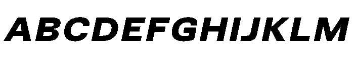 TrueSans BlackExtendedItalic Font UPPERCASE