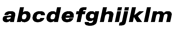 TrueSans BlackExtendedItalic FONT