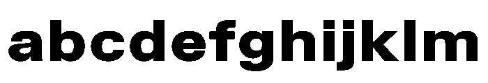 TrueSans BlackExtended FONT