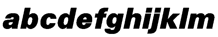 TrueSans BlackItalic FONT