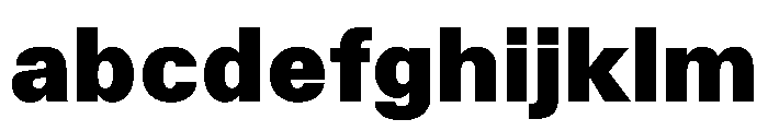 TrueSans Black FONT