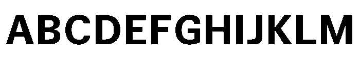TrueSans Bold Font UPPERCASE