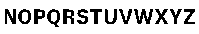TrueSans Bold Font UPPERCASE