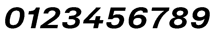 TrueSans BoldExtendedItalic Font OTHER CHARS