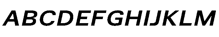 TrueSans BoldExtendedItalic Font UPPERCASE