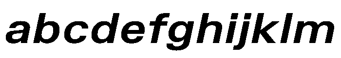TrueSans BoldExtendedItalic FONT