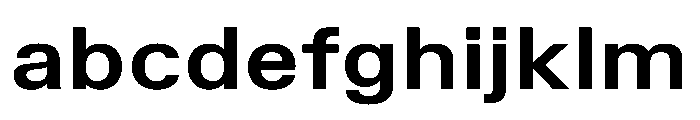 TrueSans BoldExtended FONT