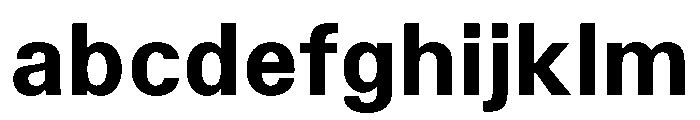 TrueSans Bold FONT