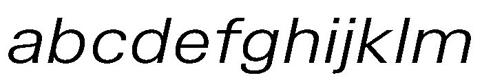 TrueSans BookExtendedItalic FONT