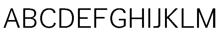 TrueSans Light Font UPPERCASE