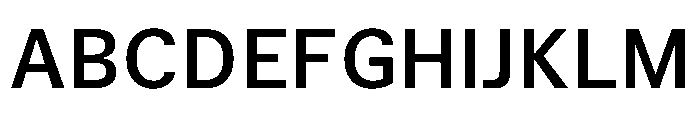 TrueSans Medium Font UPPERCASE
