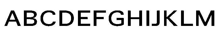 TrueSans MediumExtended Font UPPERCASE