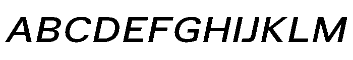 TrueSans MediumExtendedItalic Font UPPERCASE