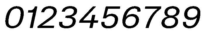 TrueSans RegularExtendedItalic Font OTHER CHARS