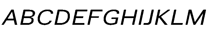 TrueSans RegularExtendedItalic Font UPPERCASE