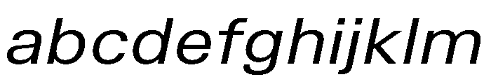 TrueSans RegularExtendedItalic FONT
