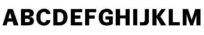 TrueSans UltraBold Font UPPERCASE