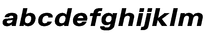 TrueSans UltraBoldExtendedItalic FONT