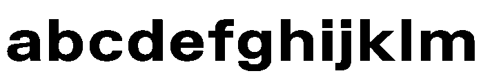 TrueSans UltraBoldExtended FONT