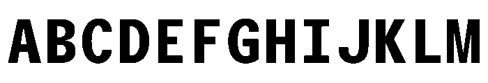 TrueSansMono Bold Font UPPERCASE