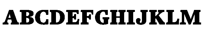 TrueSerif Black Font UPPERCASE