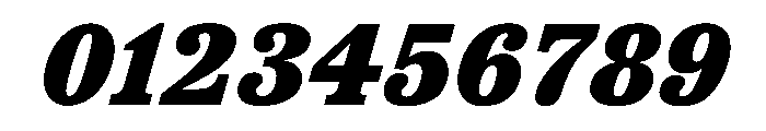 TrueSerif BlackItalic Font OTHER CHARS