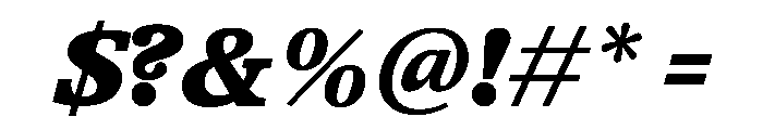 TrueSerif BlackItalic Font OTHER CHARS