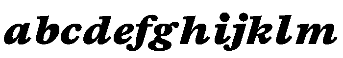 TrueSerif BlackItalic FONT