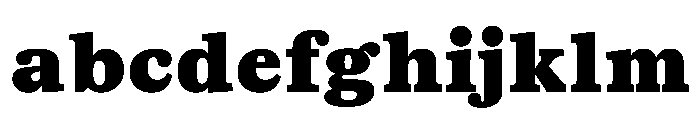 TrueSerif Black FONT