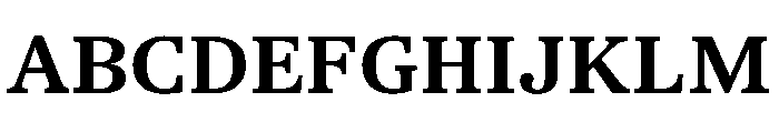 TrueSerif Bold Font UPPERCASE