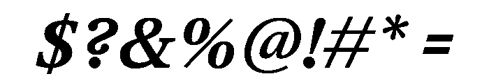 TrueSerif BoldItalic Font OTHER CHARS