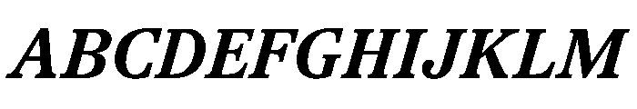 TrueSerif BoldItalic Font UPPERCASE