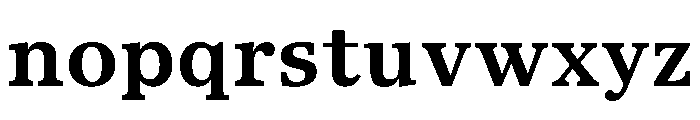 TrueSerif Bold Font LOWERCASE