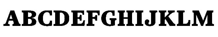 TrueSerif ExtraBold Font UPPERCASE