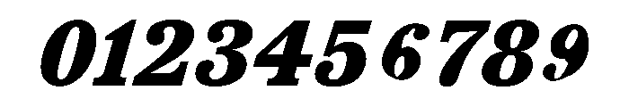 TrueSerif ExtraBoldItalic Font OTHER CHARS