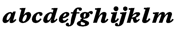TrueSerif ExtraBoldItalic FONT