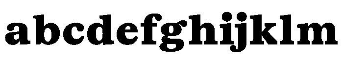 TrueSerif ExtraBold FONT