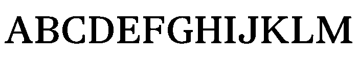 TrueSerif Medium Font UPPERCASE