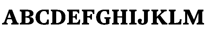 TrueSerif UltraBold Font UPPERCASE