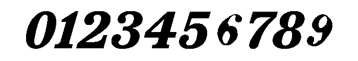 TrueSerif UltraBoldItalic Font OTHER CHARS