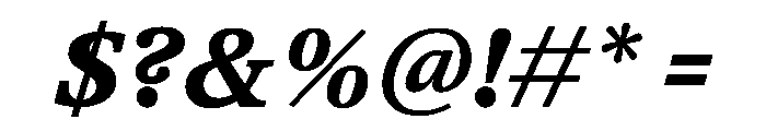 TrueSerif UltraBoldItalic Font OTHER CHARS